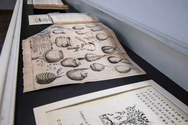 Pages with etchings from 16th-century cookery books.